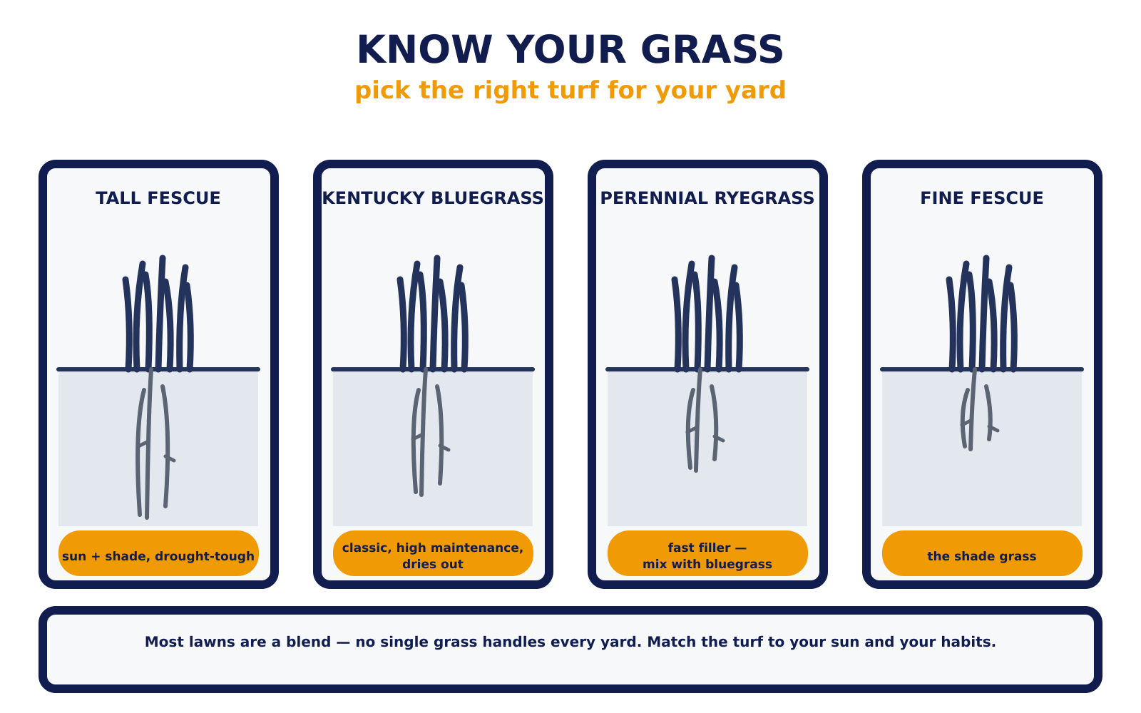 The four grasses that belong in Ohio