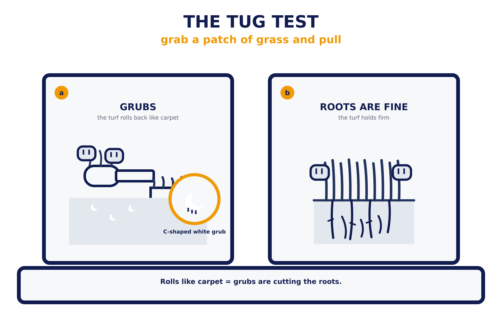 The tug test
