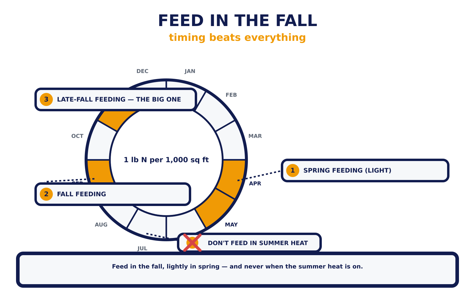 Feed in the fall — the twelve-month ring