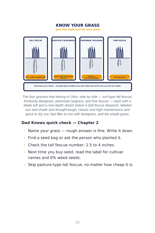 Diagram page render — the four grasses